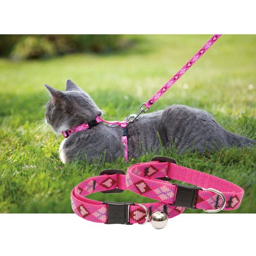 Lupine draw Originals Cat H Harness
